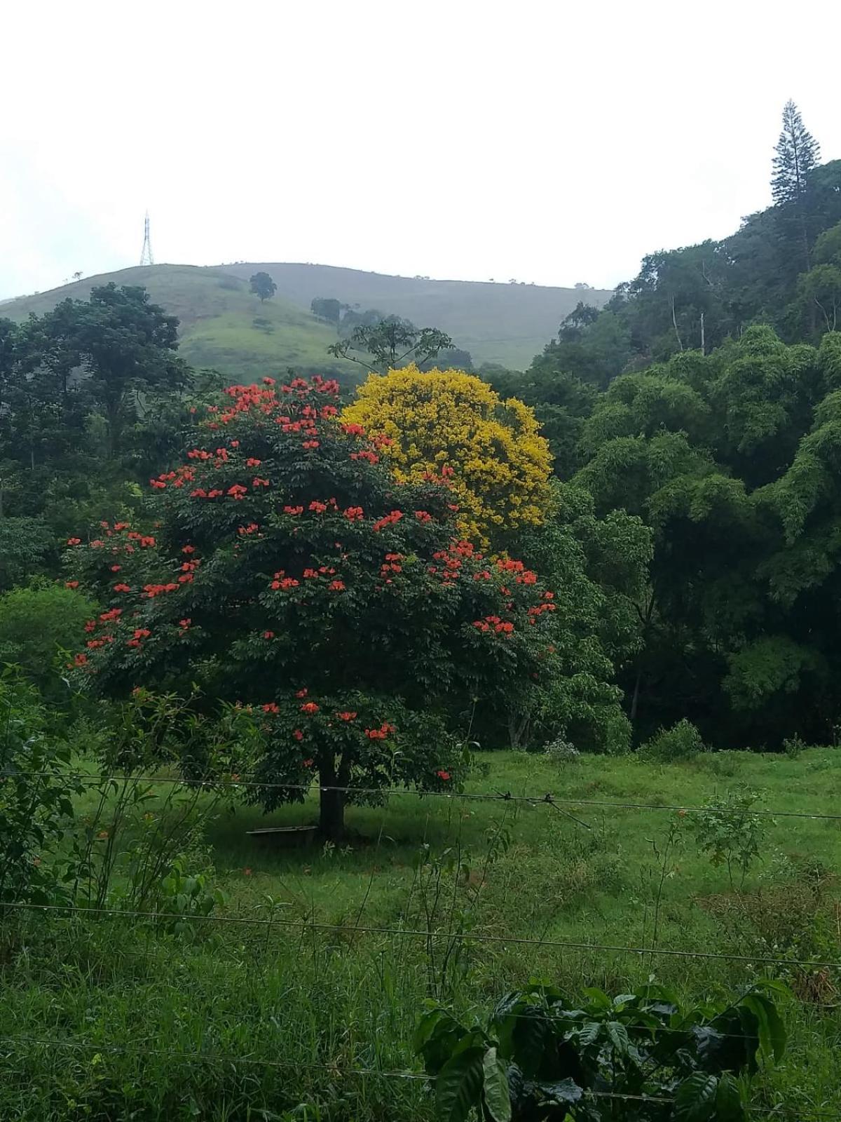 Fazenda Piloes Villa Petropolis  Luaran gambar