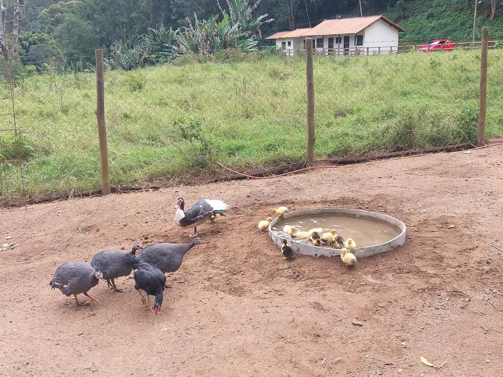 Fazenda Piloes Villa Petropolis  Luaran gambar